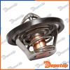 Thermostat pour OPEL | 36121113, 036121113A